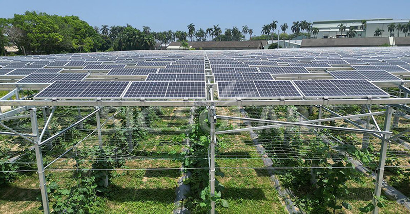 सौर फार्म के आदर्श आकार की खोज: 2024 में नवीनतम परिप्रेक्ष्य